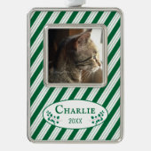 猫フォトグリーンストライプクリスマス飾り シルバープレートフレームオーナメント (正面)