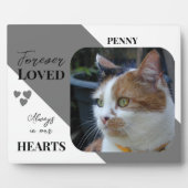 猫フォト悔やみや弔慰キープサケペットメモリアルグレー フォトプラーク (正面)