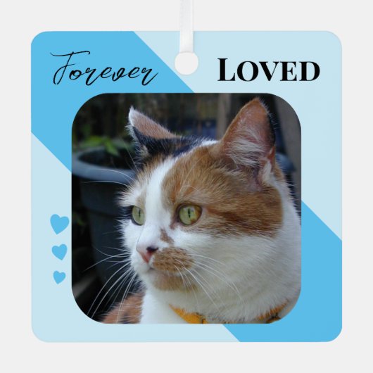 猫フォト悔やみや弔慰記念PETメモリアルブルー メタルオーナメント (正面)