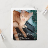 猫フォト文字、自分で作る、クリスマスカード カード (正面/裏面インサイチュ)