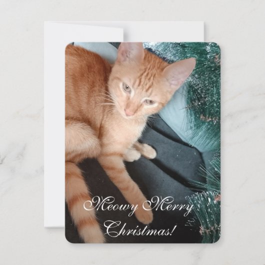 猫フォト文字、自分で作る、クリスマスカード カード (正面)