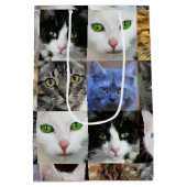 猫プリント紙抱き枕 ミディアムペーパーバッグ (裏面)