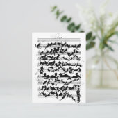 猫ベクターの交響曲 ポストカード (スタンド正面)