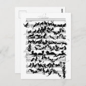 猫ベクターの交響曲 ポストカード (正面/裏面)