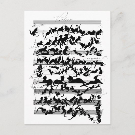 猫ベクターの交響曲 ポストカード (正面)