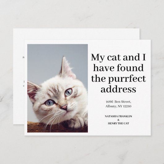 猫ペットの写真が引っ越した新しい住モダン所 案内ポストカード (正面/裏面)