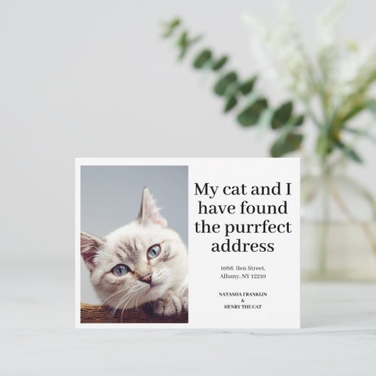 猫ペットの写真が引っ越した新しい住モダン所 案内ポストカード (スタンド正面)