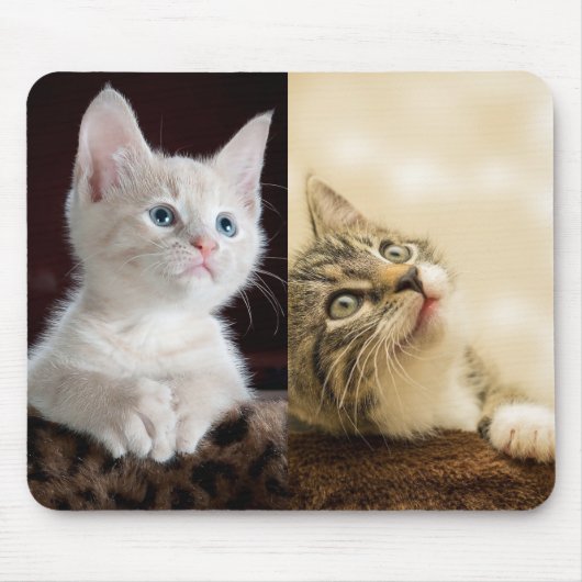 猫ペットの写真パーソナライズされた マウスパッド (正面)