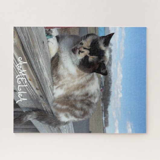 猫ペットの写真、家族の夜、おもしろいカスタム ジグソーパズル (横)