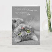 猫ペット悔やみや弔慰シルバータブビーキャットテンダーの紛失 カード (正面)