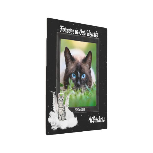 猫ペット記念エンジェル子猫と写真 メタルプリント (3/4)