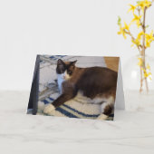 猫ペット カード (黄色い花)