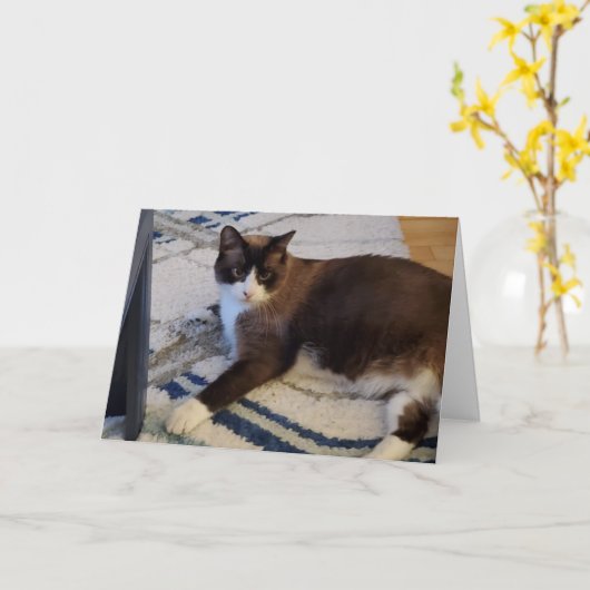 猫ペット カード (黄色い花)
