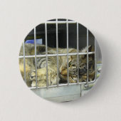 猫ボタン001を採用して下さい 缶バッジ (正面)