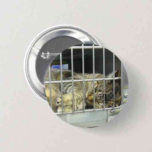 猫ボタン001を採用して下さい 缶バッジ (正面&裏面)