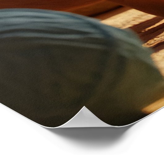 猫ポスター2匹 ポスター (角)