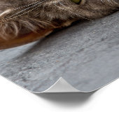 猫ポスター/プリント ポスター (角)