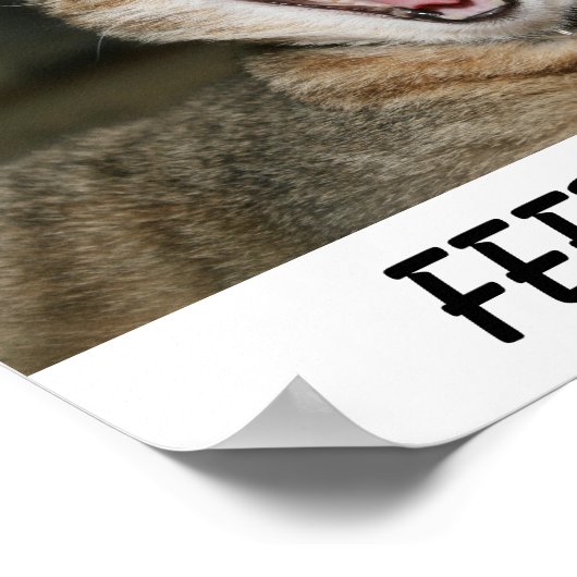 猫ポスター ポスター (角)