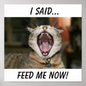 猫ポスター ポスター (正面)