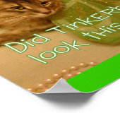 猫ポスター ポスター (角)