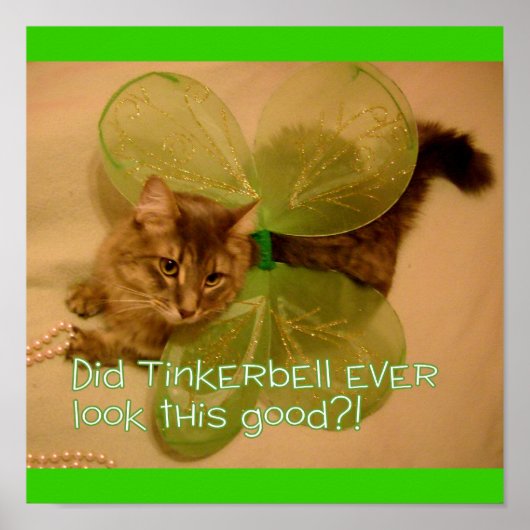 猫ポスター ポスター (正面)