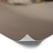 猫ポスター ポスター (角)