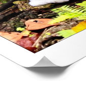 猫ポスター ポスター (角)