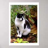 猫ポスター ポスター (正面)