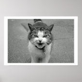 猫ポスター ポスター (正面)