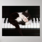 猫ポスター ポスター (正面)