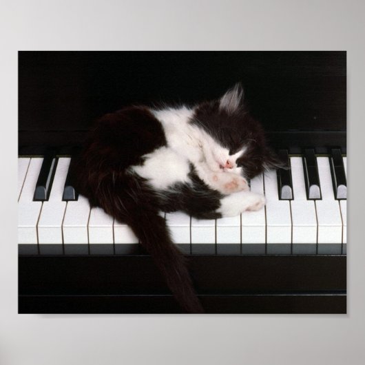 猫ポスター ポスター (正面)