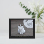 猫ポストカードで自信のある生活を|過去記事 ポストカード (スタンド正面)