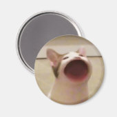 猫ポップ・アートの磁石 マグネット (正面/裏面)