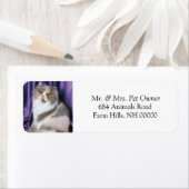 猫ポーズ差出人住所ラベルスタンプ ラベル (インサイチュ)