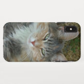 猫ポートレート😺電話ケース Case-Mate iPhoneケース (裏面(横))