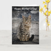 猫ポートレート カード (黄色い花)