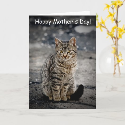 猫ポートレート カード (黄色い花)