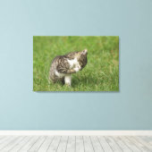 猫ポートレート キャンバスプリント (インサイチュ (ウッドフロア))