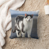 猫ポートレート クッション (ブランケット)