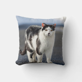 猫ポートレート クッション