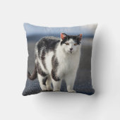 猫ポートレート クッション (裏面)