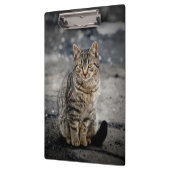 猫ポートレート クリップボード (左)