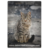 猫ポートレート クリップボード (裏面)