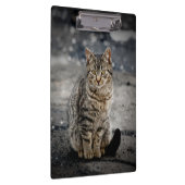 猫ポートレート クリップボード (右)