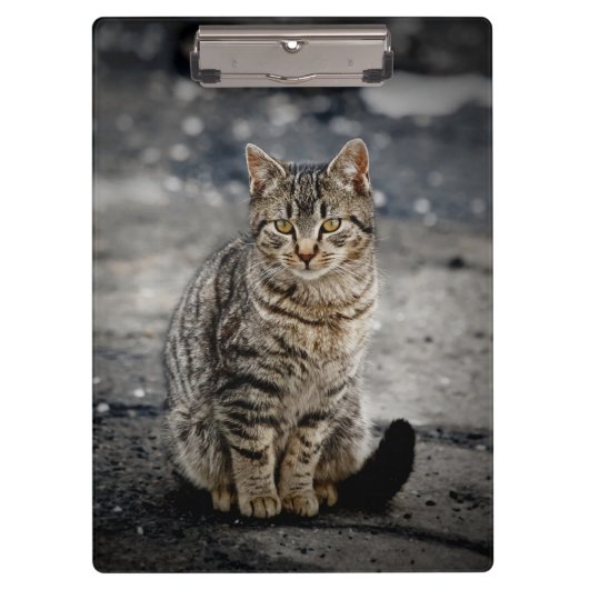 猫ポートレート クリップボード (正面)