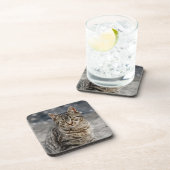 猫ポートレート コースター (右側)