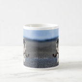 猫ポートレート コーヒーマグカップ (中央)