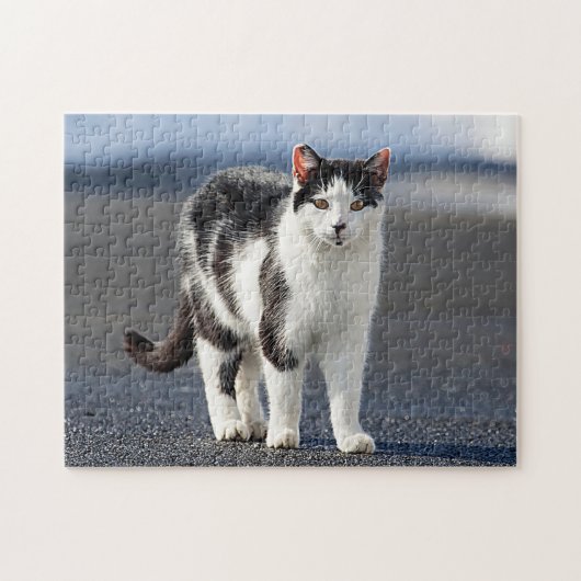 猫ポートレート ジグソーパズル (横)