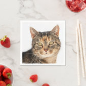 猫ポートレート スタンダードカクテルナプキン (インサイチュ)