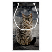 猫ポートレート スモールペーパーバッグ (裏面)